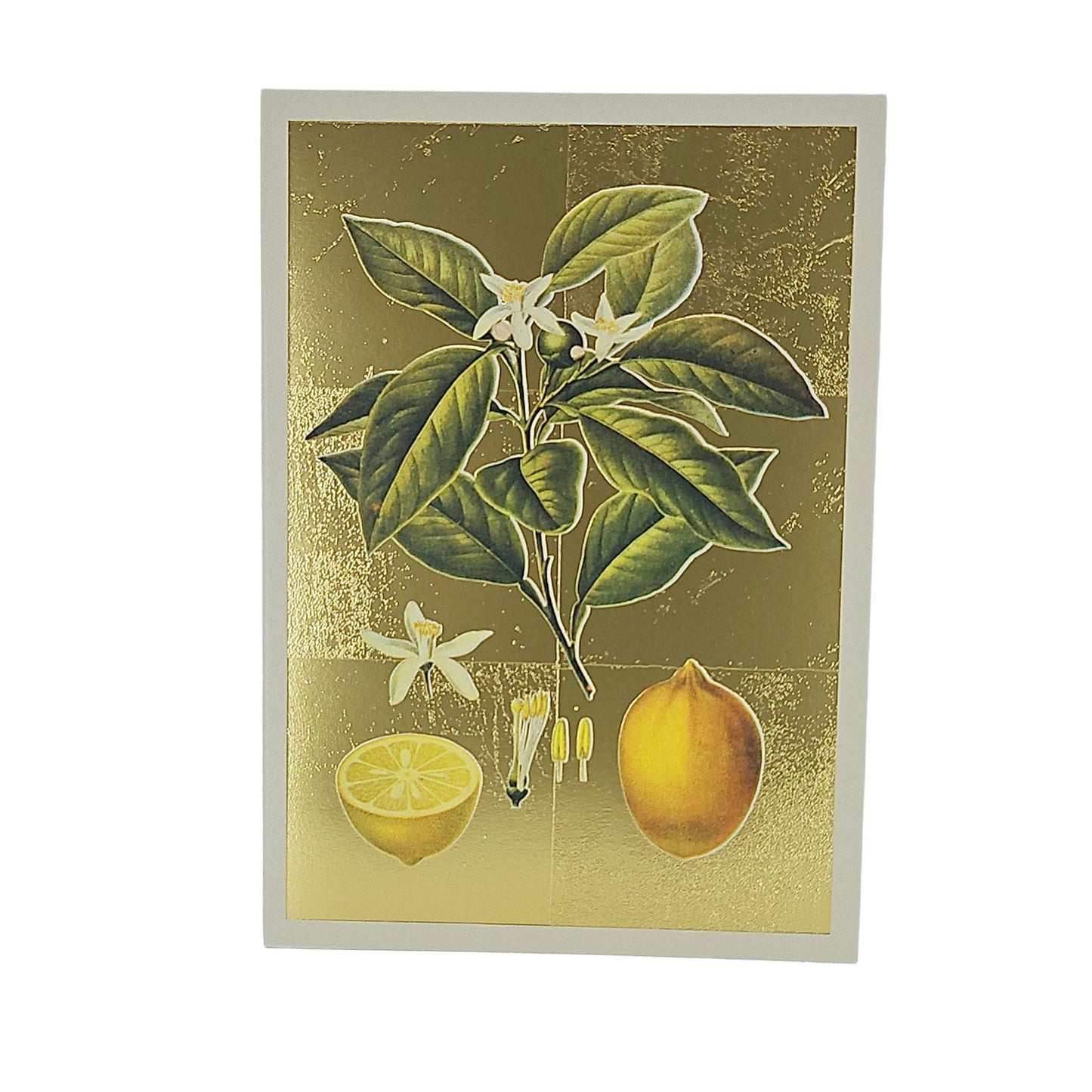 Lemons Gold Foiled Art Card