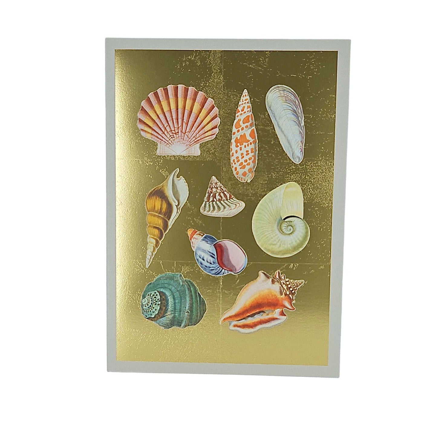 Shell Collection Gold Foiled Art Card