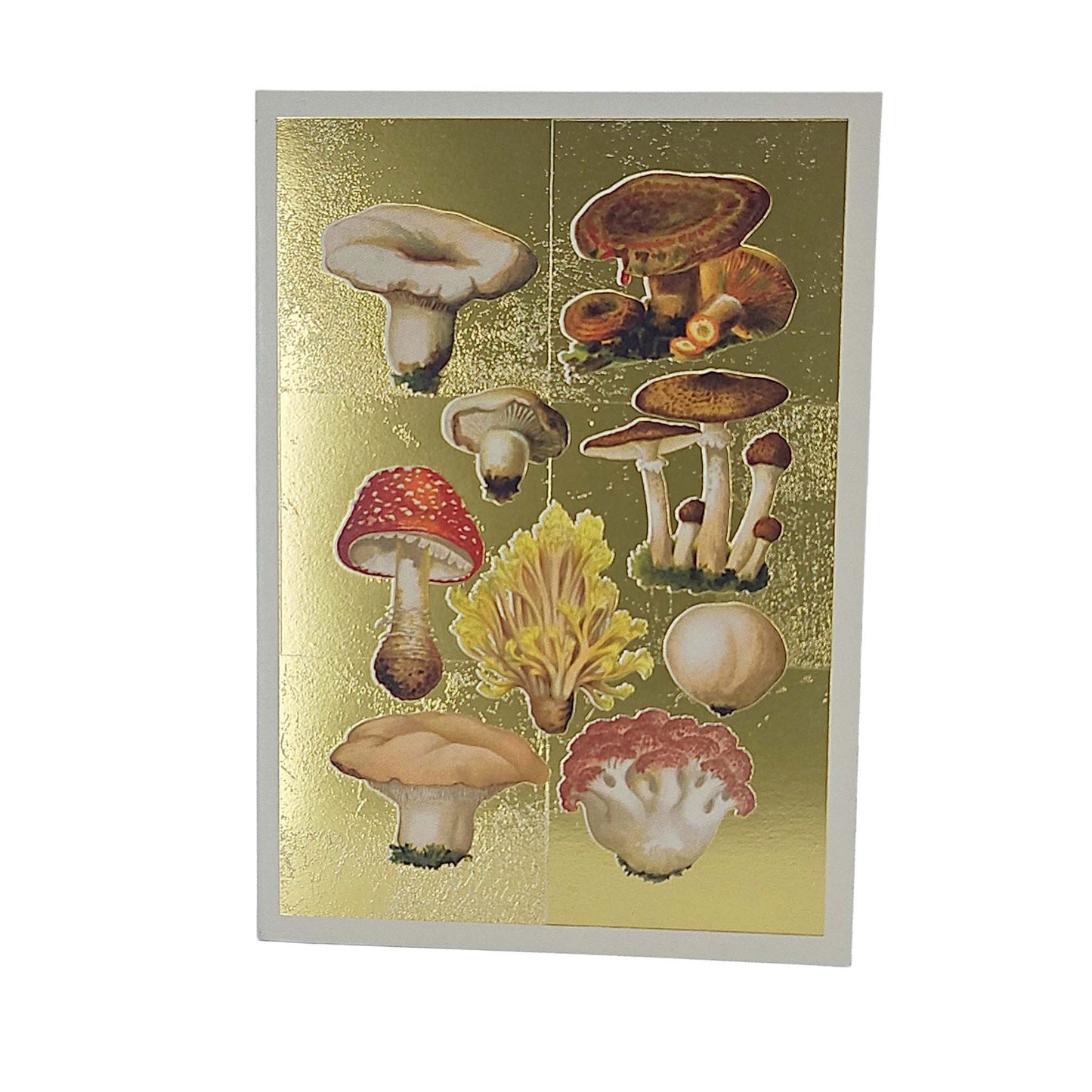 Fungi Collection Gold Foiled Art Card