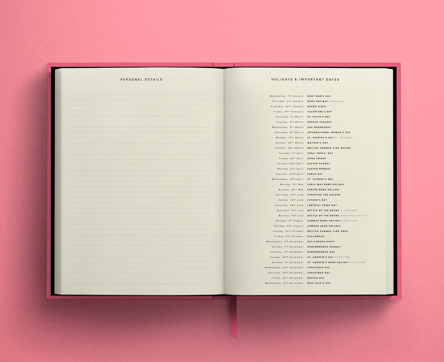 Blank Canvas Pink 2026 Diary