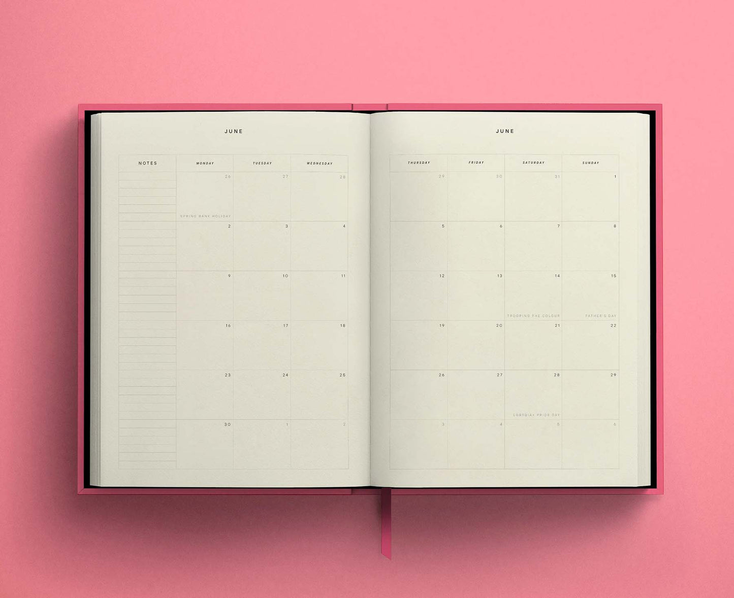 Blank Canvas Pink 2026 Diary