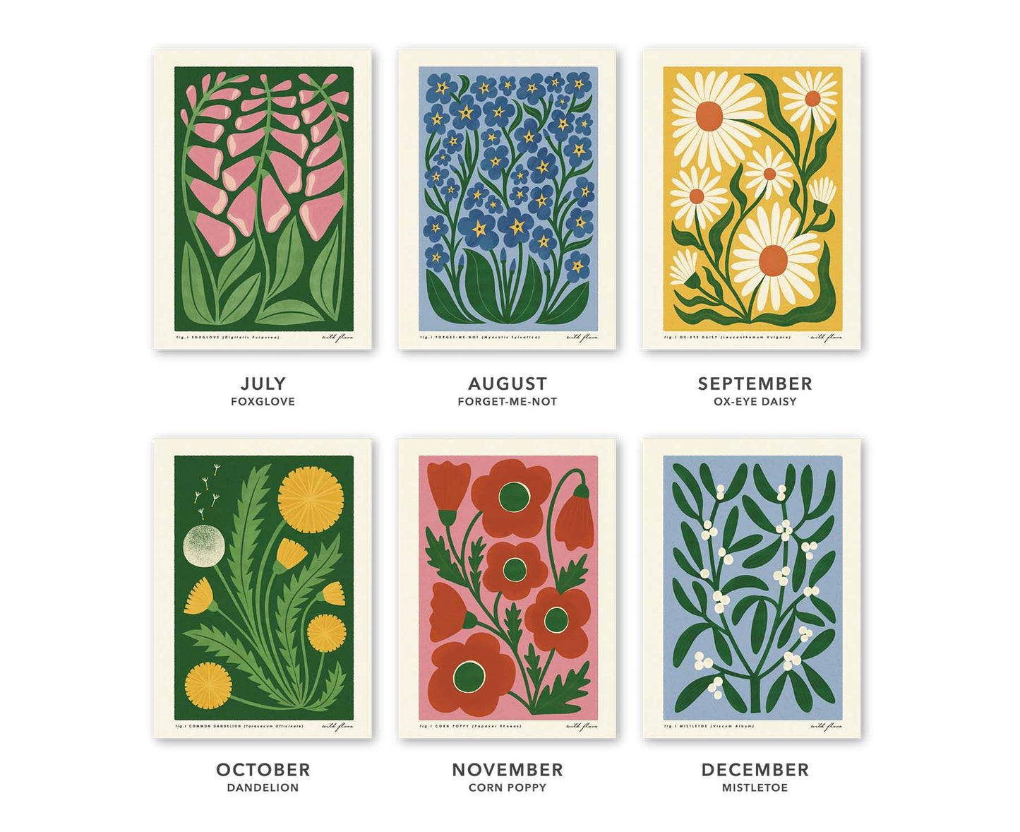 Wild Flora British Flowers Illustrated 2026 Calendar