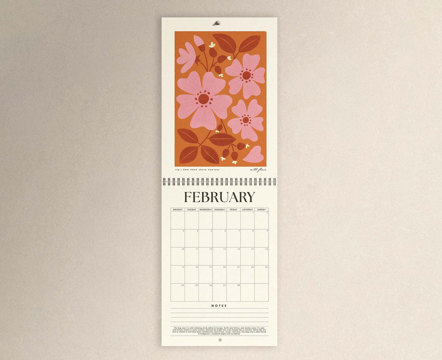 Wild Flora British Flowers Illustrated 2026 Calendar