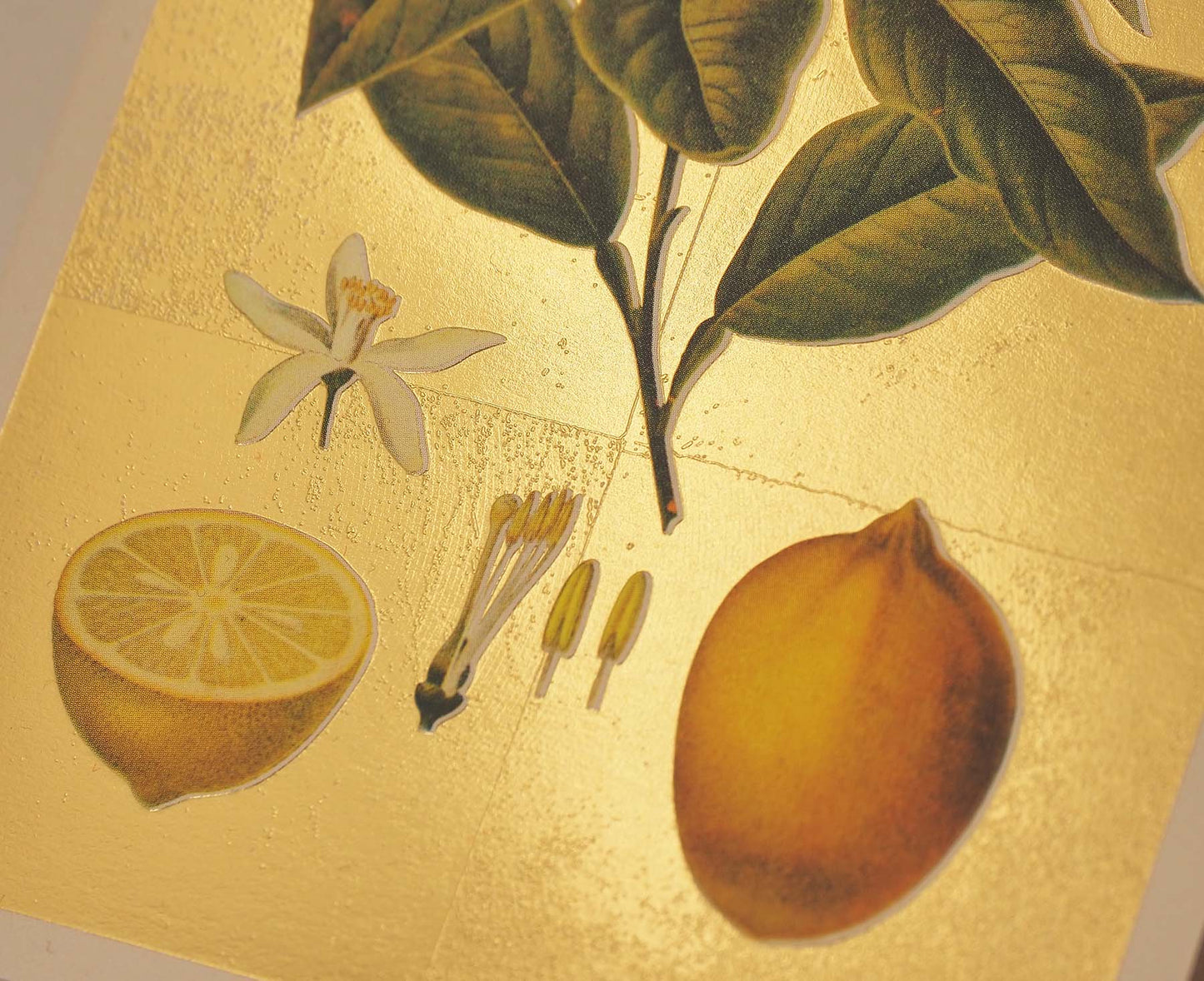 Lemons Gold Foiled Art Card