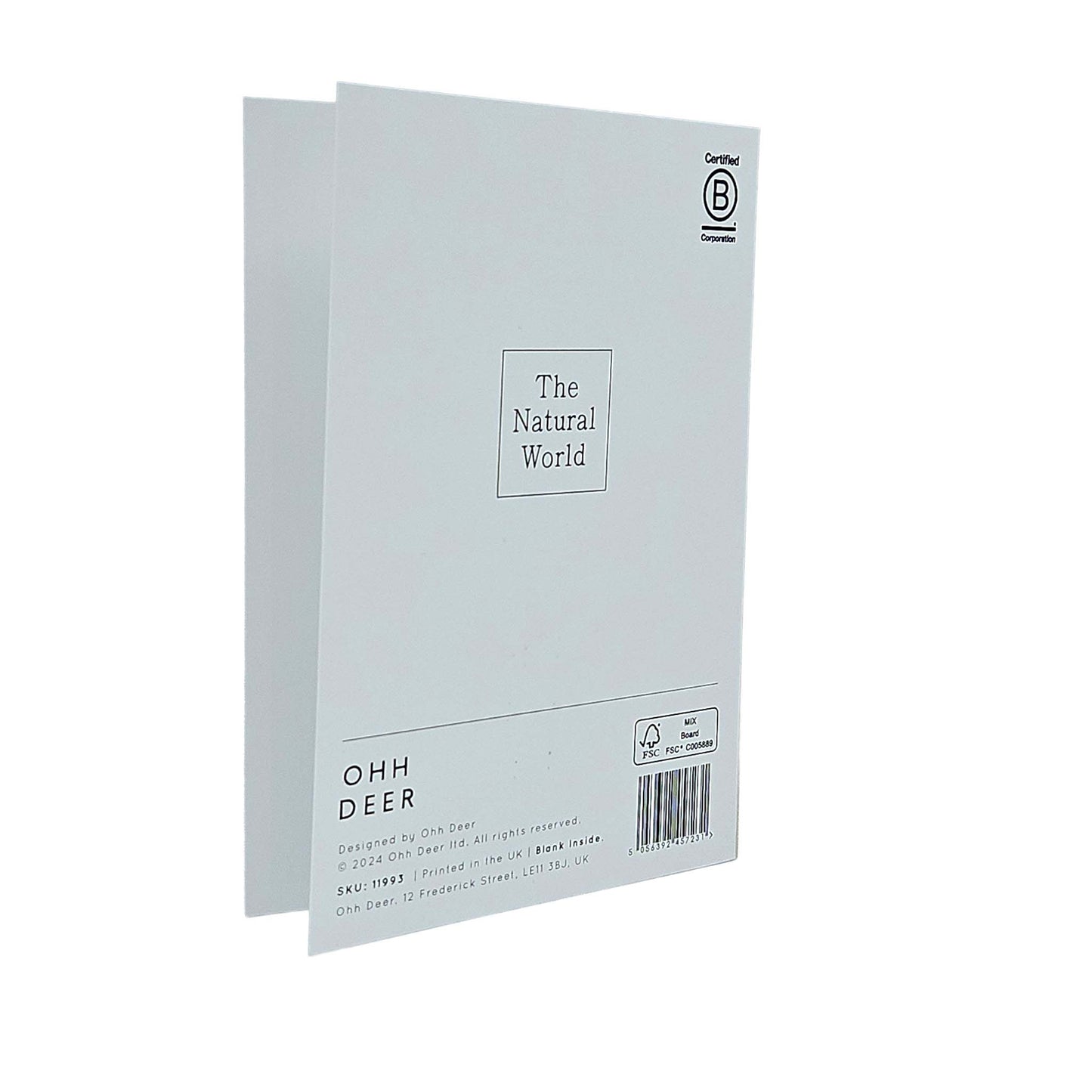 Fungi Collection Gold Foiled Art Card