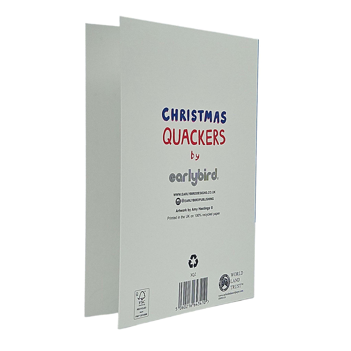 Happy Christmas Coo You Pigeon Christmas Card
