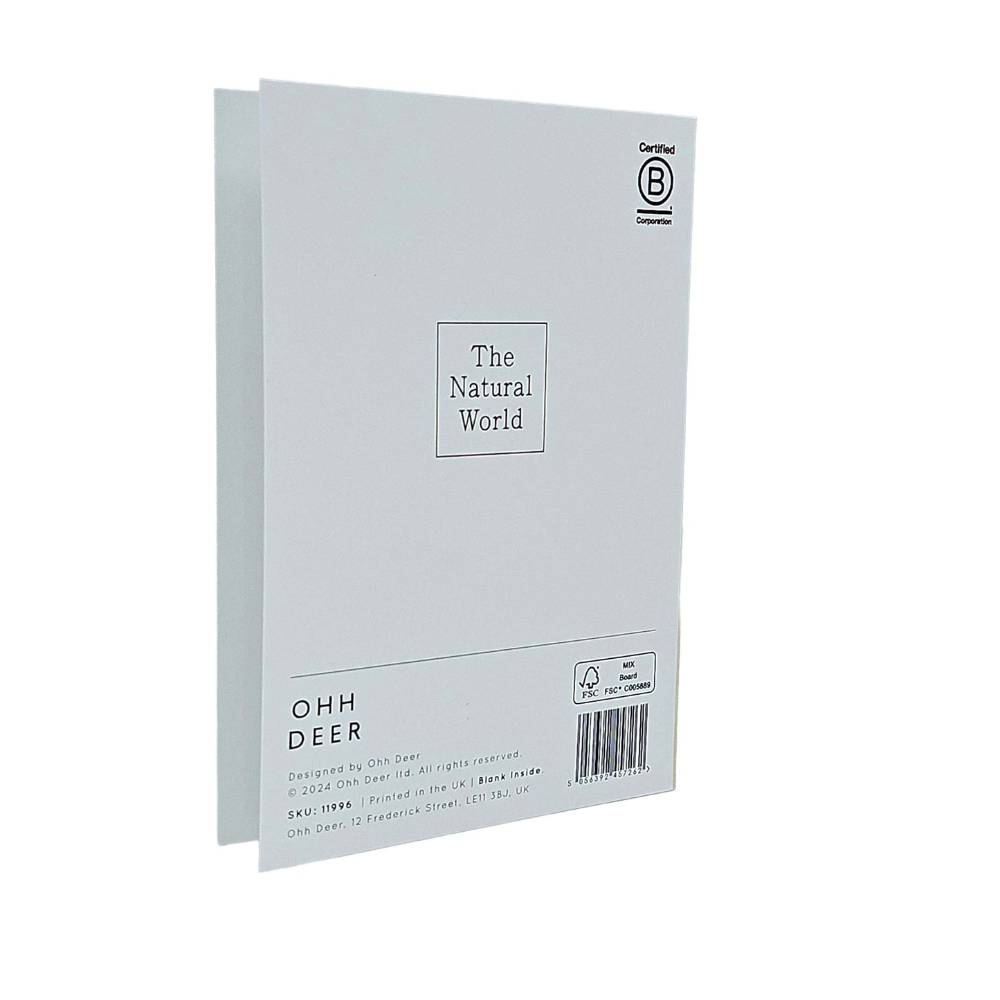 Tree Peony Gold Foiled Art Card