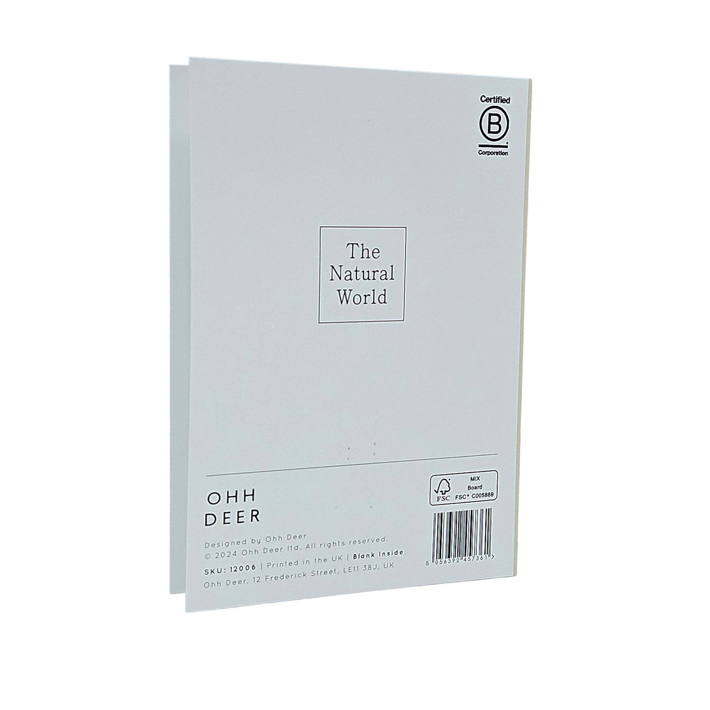 Shell Collection Gold Foiled Art Card