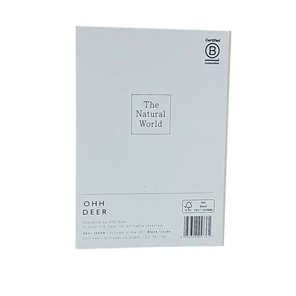 Shell Collection Gold Foiled Art Card