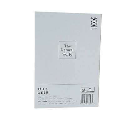 Fungi Collection Gold Foiled Art Card