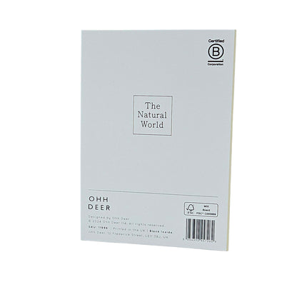 Tree Peony Gold Foiled Art Card