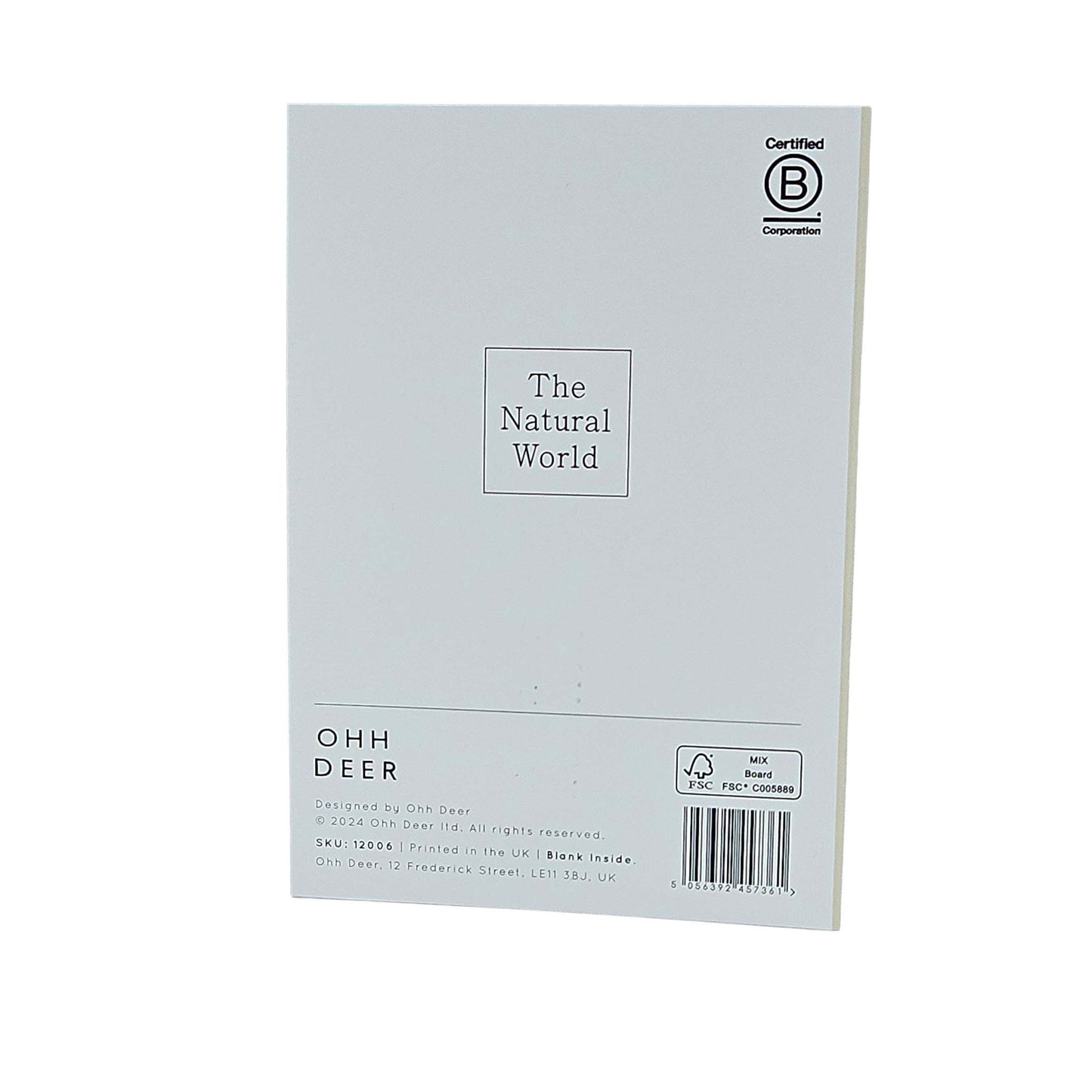 Shell Collection Gold Foiled Art Card