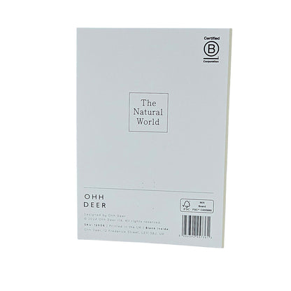 Shell Collection Gold Foiled Art Card