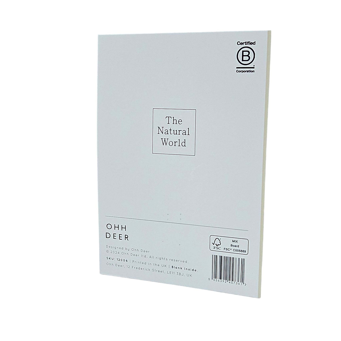 Shell Collection Gold Foiled Art Card