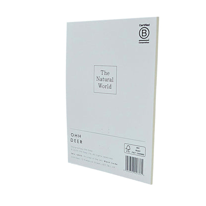 Shell Collection Gold Foiled Art Card