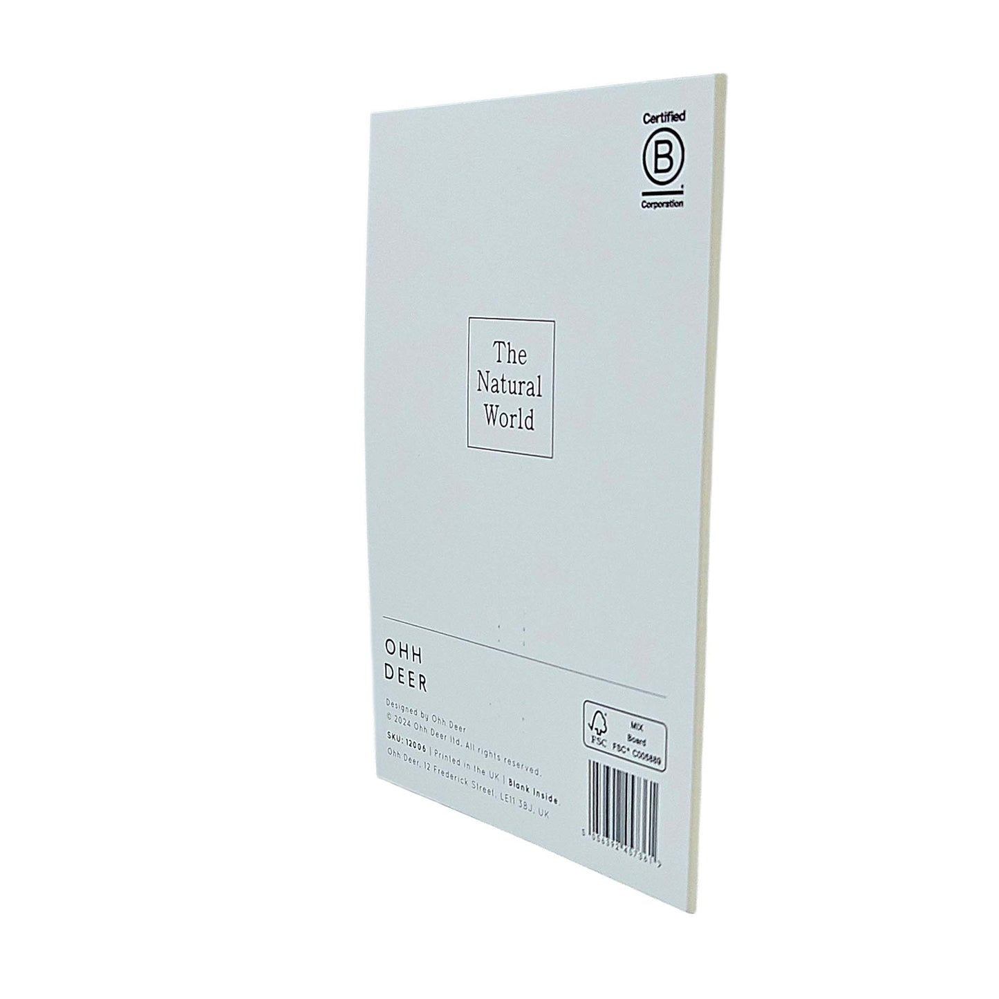 Shell Collection Gold Foiled Art Card