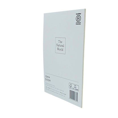 Shell Collection Gold Foiled Art Card