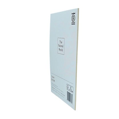 Shell Collection Gold Foiled Art Card