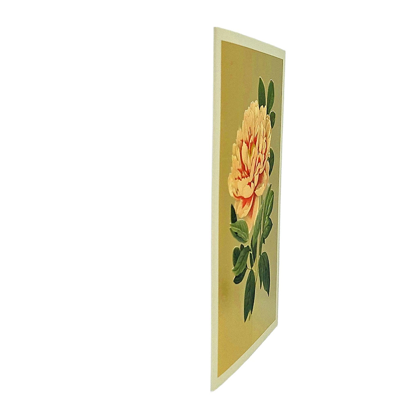 Tree Peony Gold Foiled Art Card
