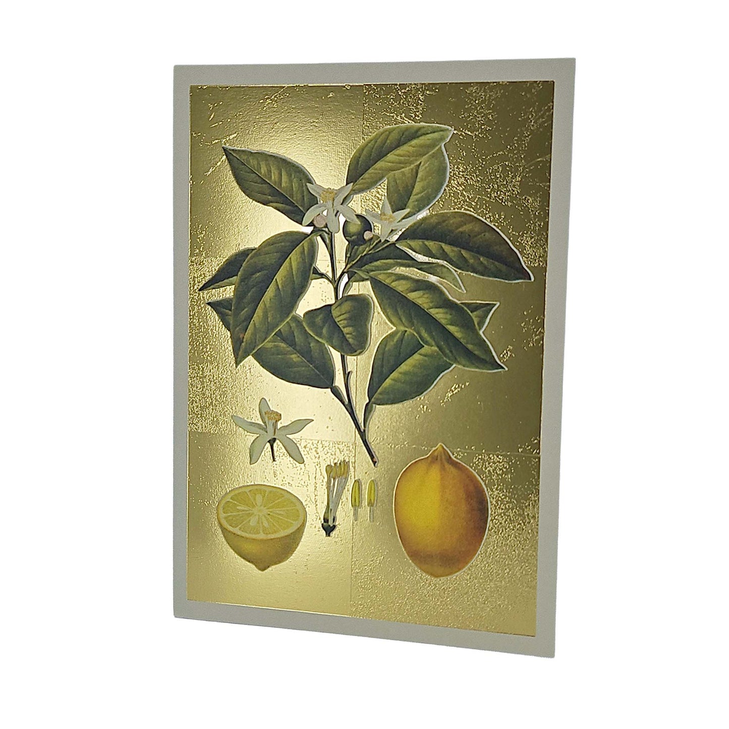 Lemons Gold Foiled Art Card