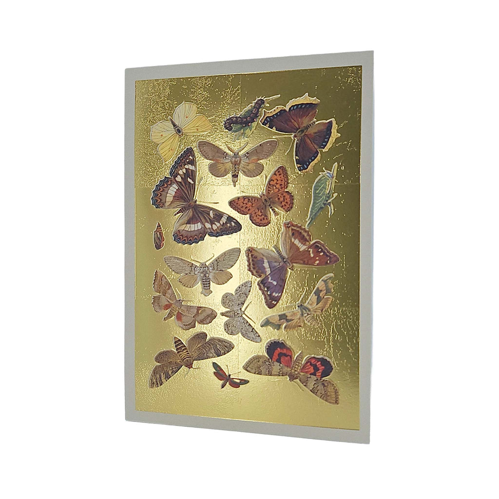 Lepidoptera Moths & Butterflies Gold Foiled Art Card
