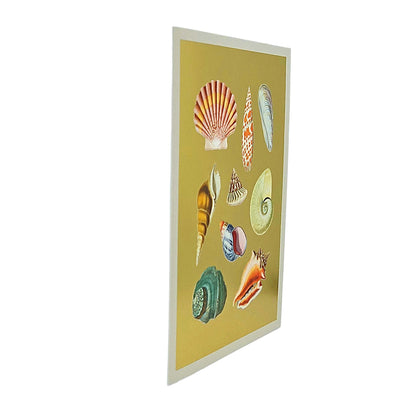 Shell Collection Gold Foiled Art Card
