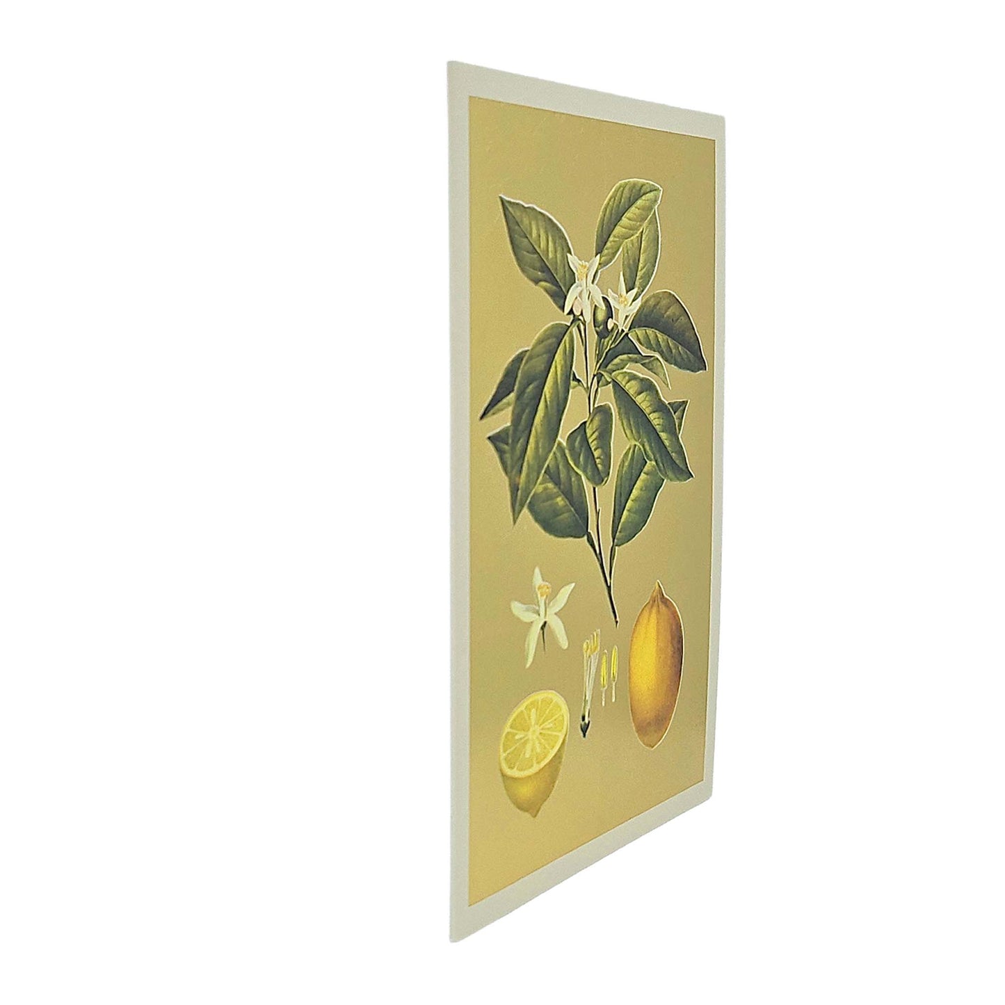 Lemons Gold Foiled Art Card