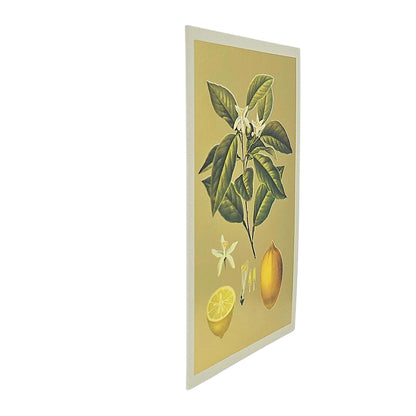 Lemons Gold Foiled Art Card