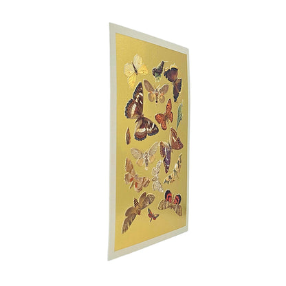 Lepidoptera Moths & Butterflies Gold Foiled Art Card
