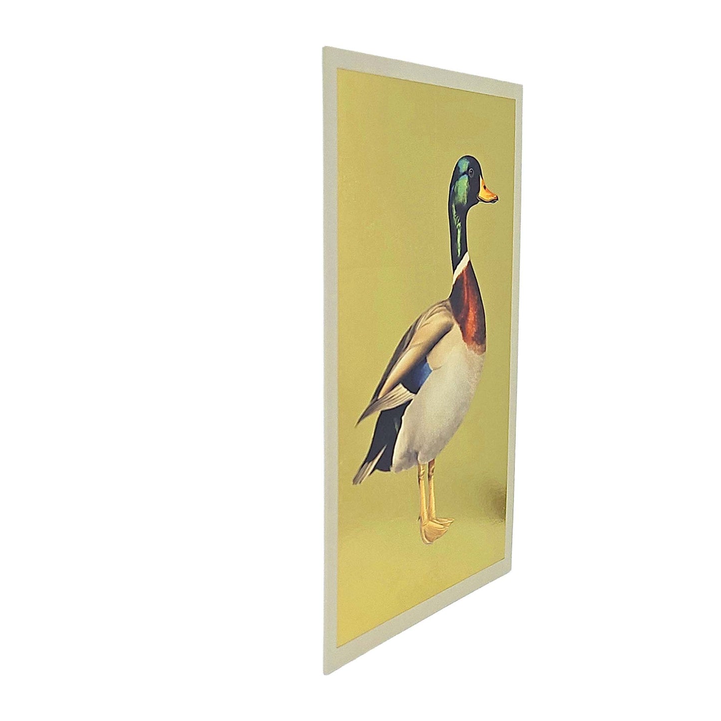 Mallard Duck Gold Foiled Art Card