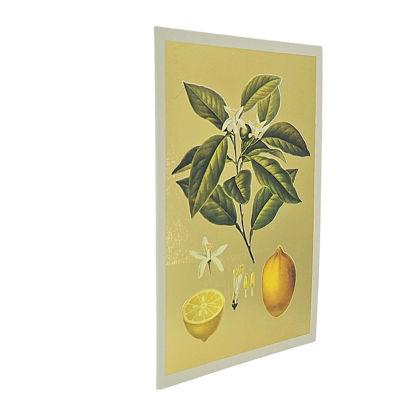 Lemons Gold Foiled Art Card