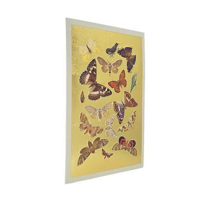 Lepidoptera Moths & Butterflies Gold Foiled Art Card