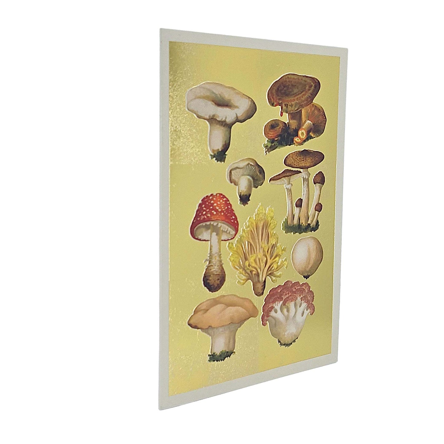 Fungi Collection Gold Foiled Art Card
