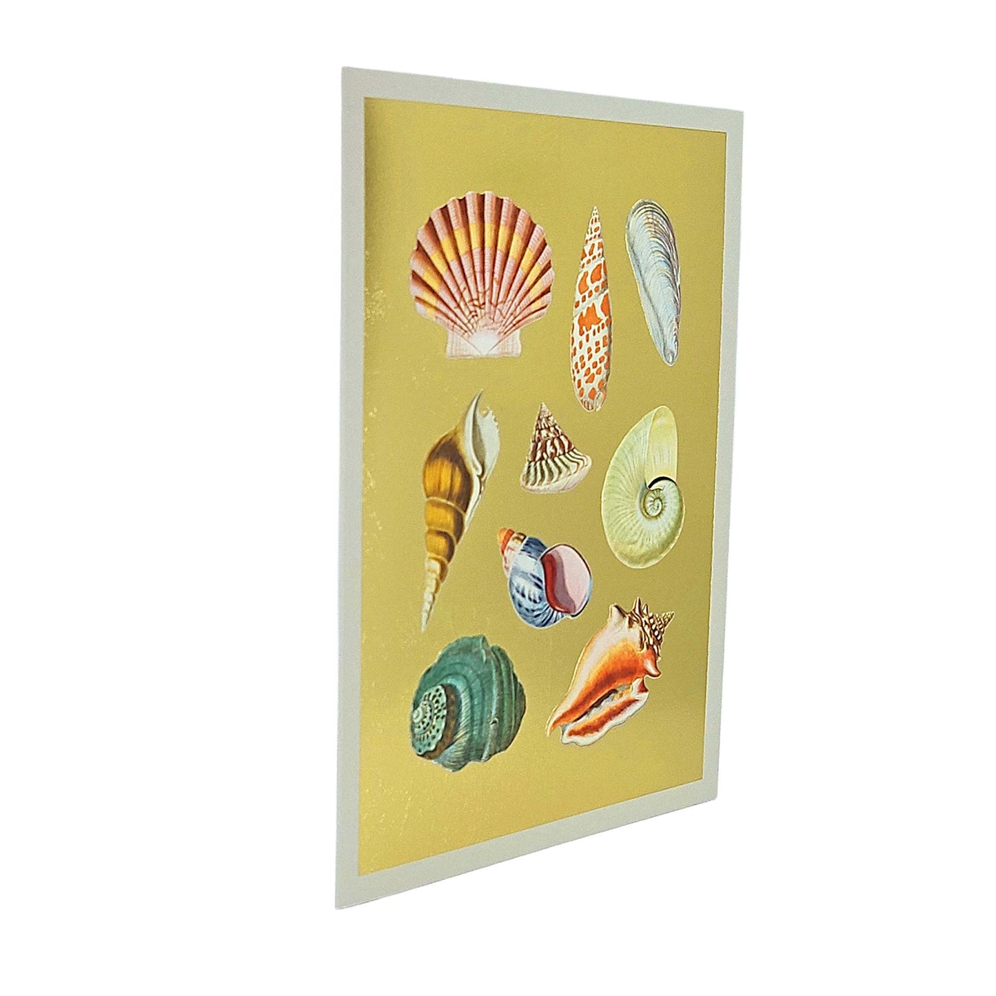 Shell Collection Gold Foiled Art Card
