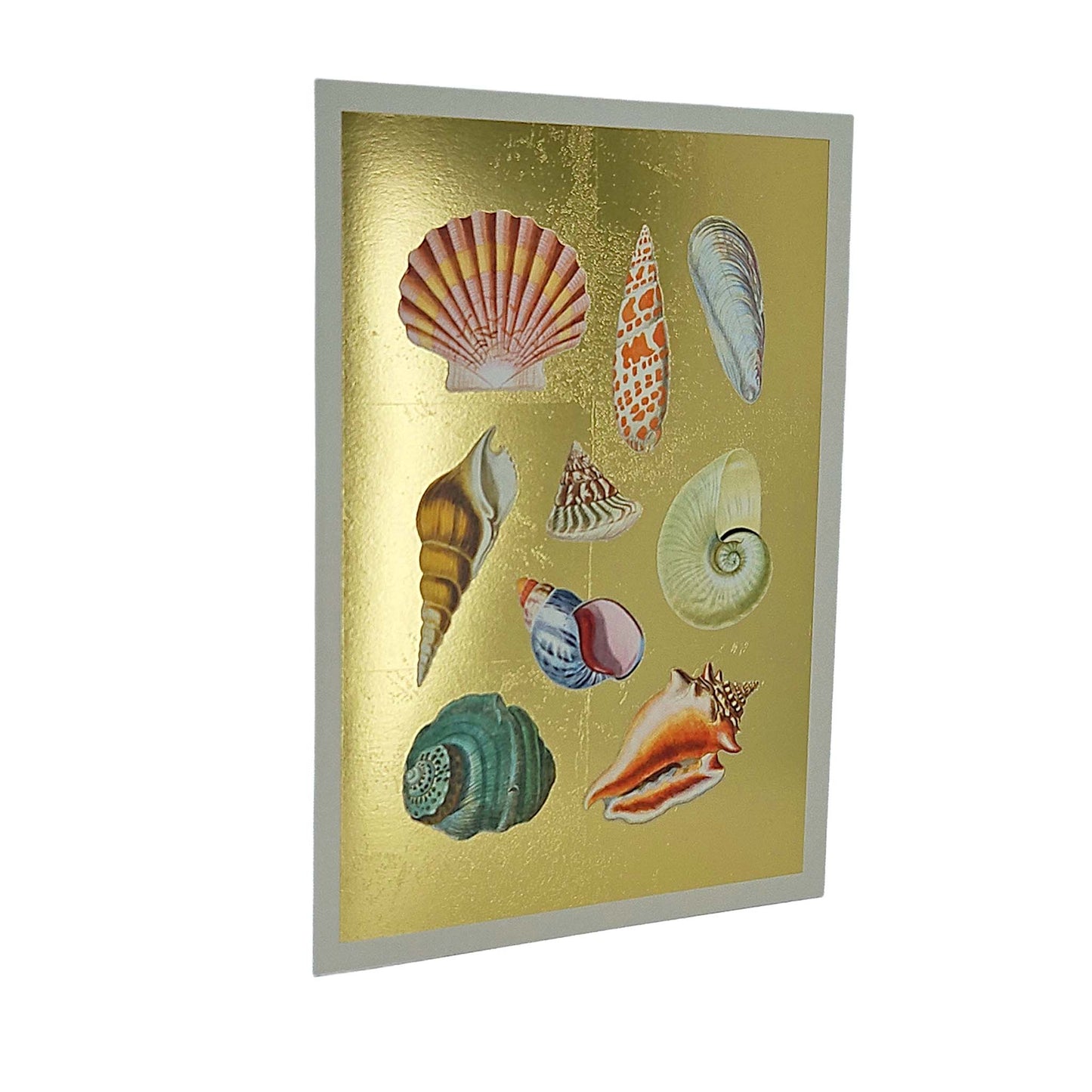 Shell Collection Gold Foiled Art Card