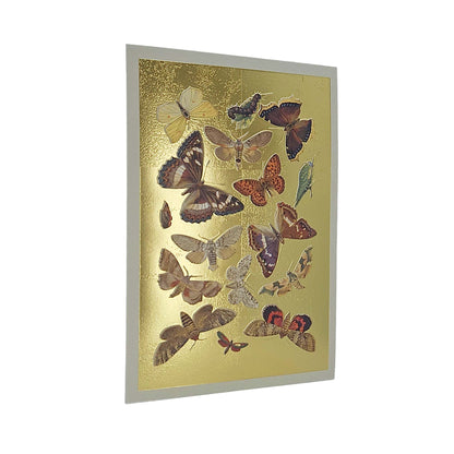 Lepidoptera Moths & Butterflies Gold Foiled Art Card
