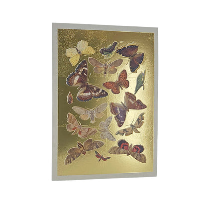 Lepidoptera Moths & Butterflies Gold Foiled Art Card