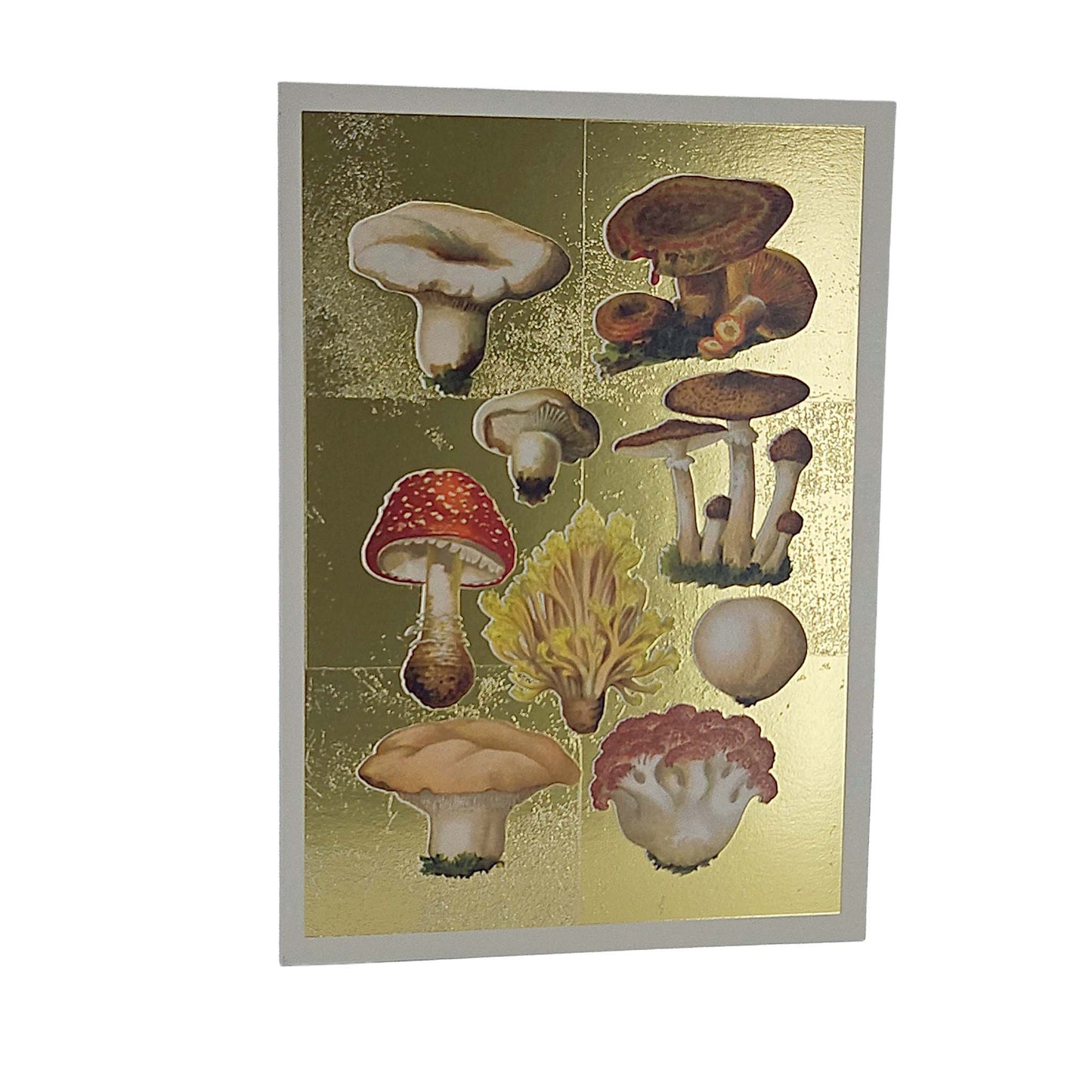 Fungi Collection Gold Foiled Art Card