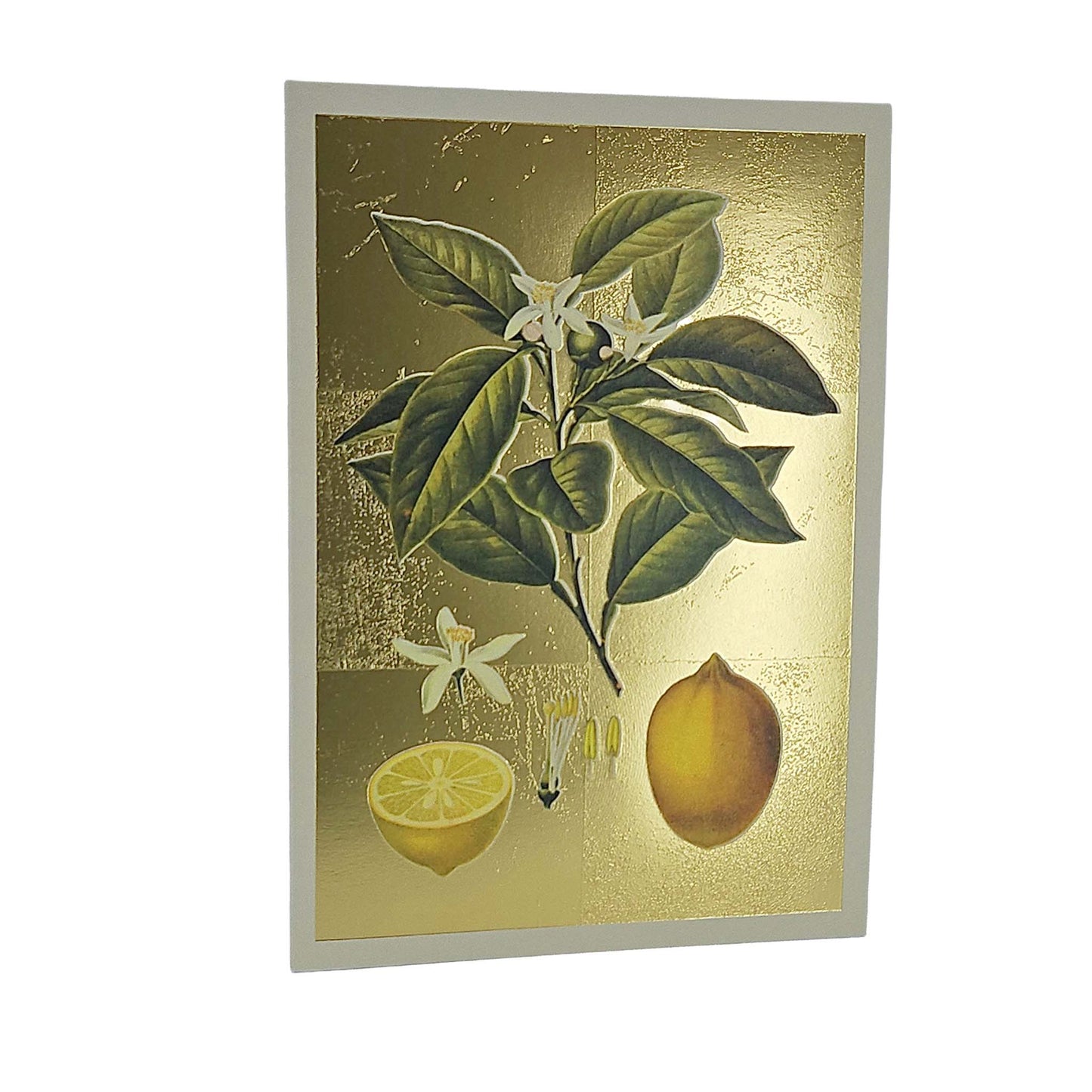 Lemons Gold Foiled Art Card