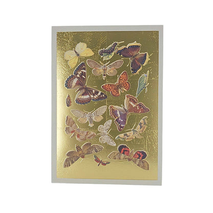 Lepidoptera Moths & Butterflies Gold Foiled Art Card