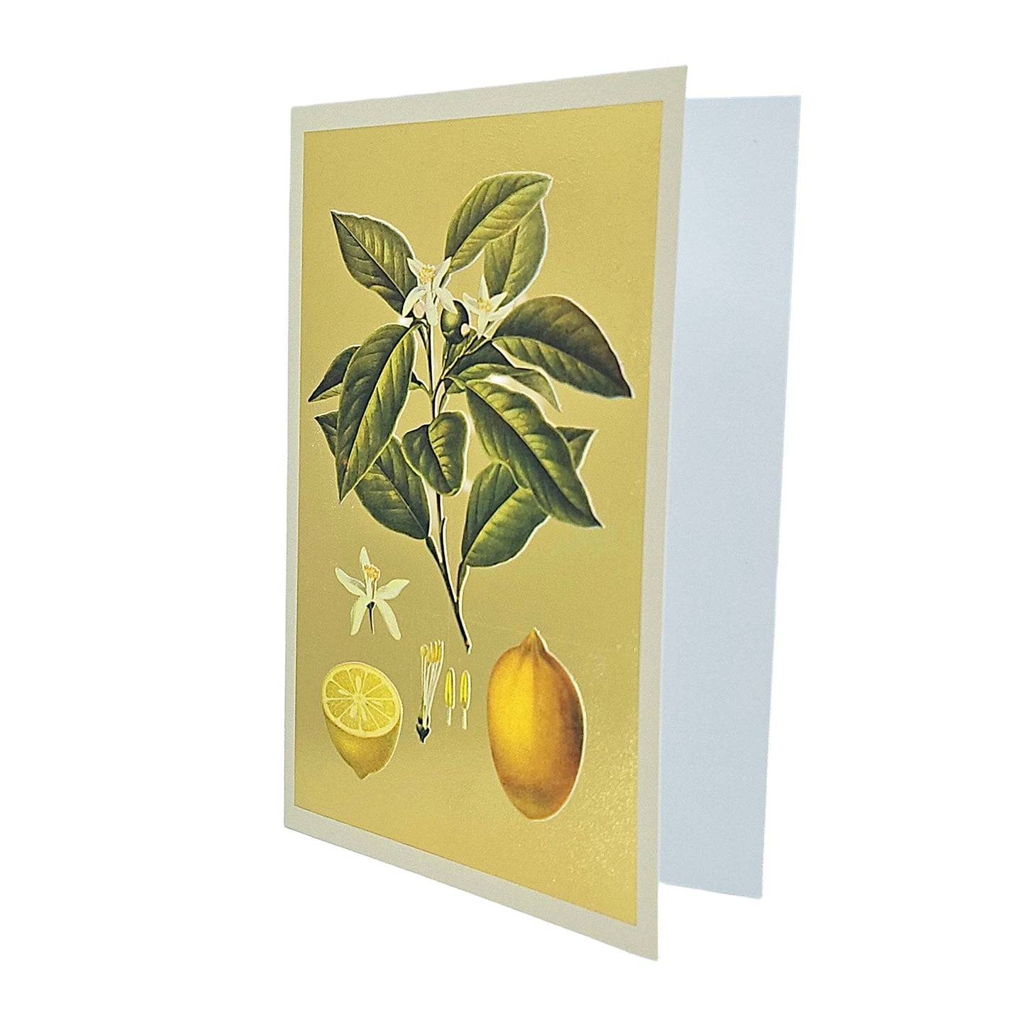 Lemons Gold Foiled Art Card