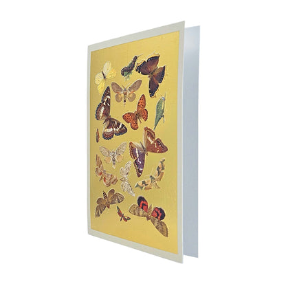 Lepidoptera Moths & Butterflies Gold Foiled Art Card