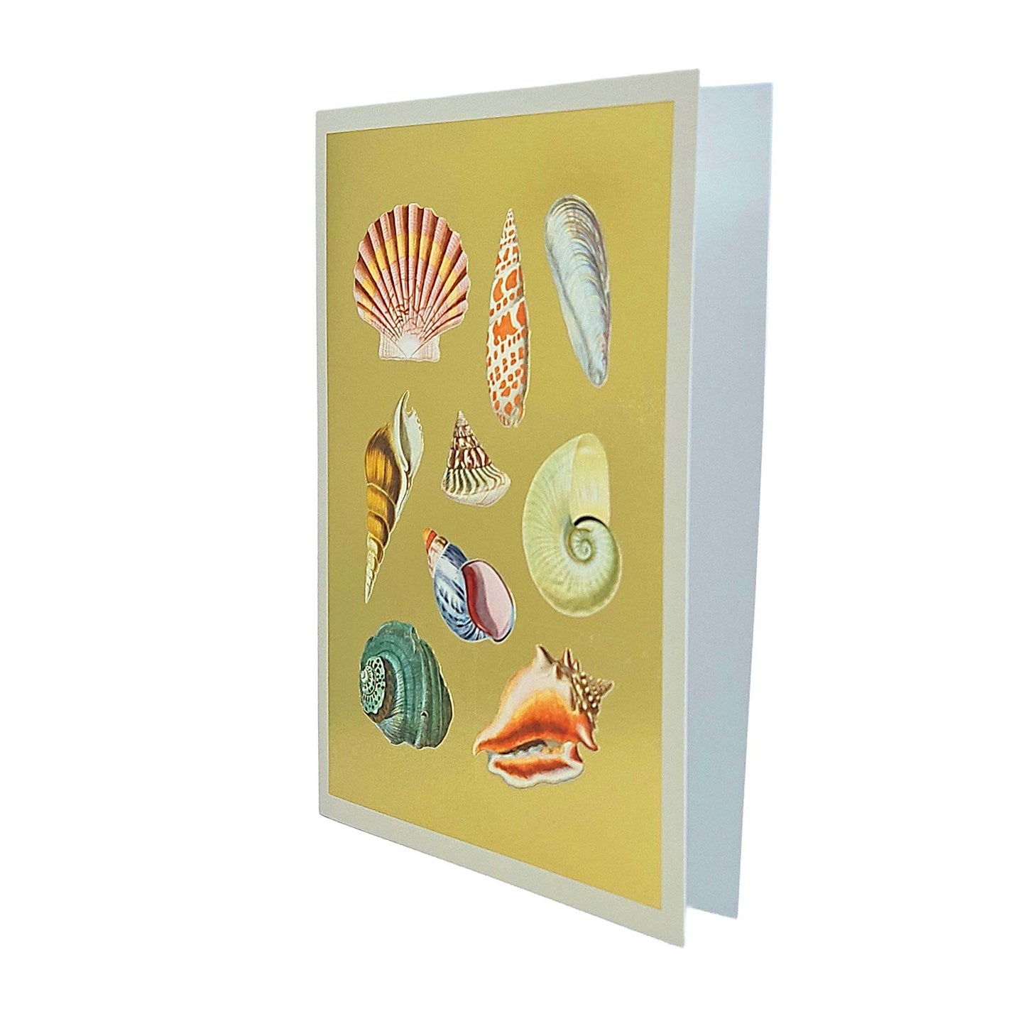 Shell Collection Gold Foiled Art Card