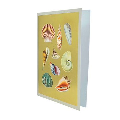 Shell Collection Gold Foiled Art Card