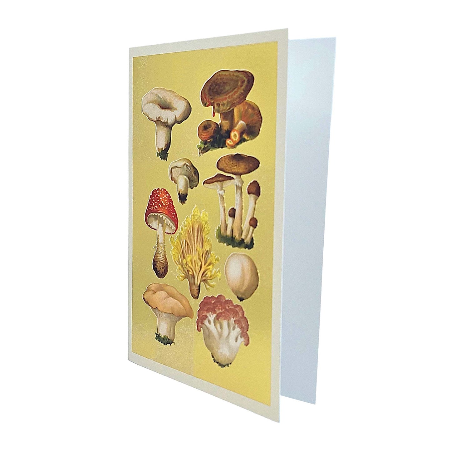 Fungi Collection Gold Foiled Art Card