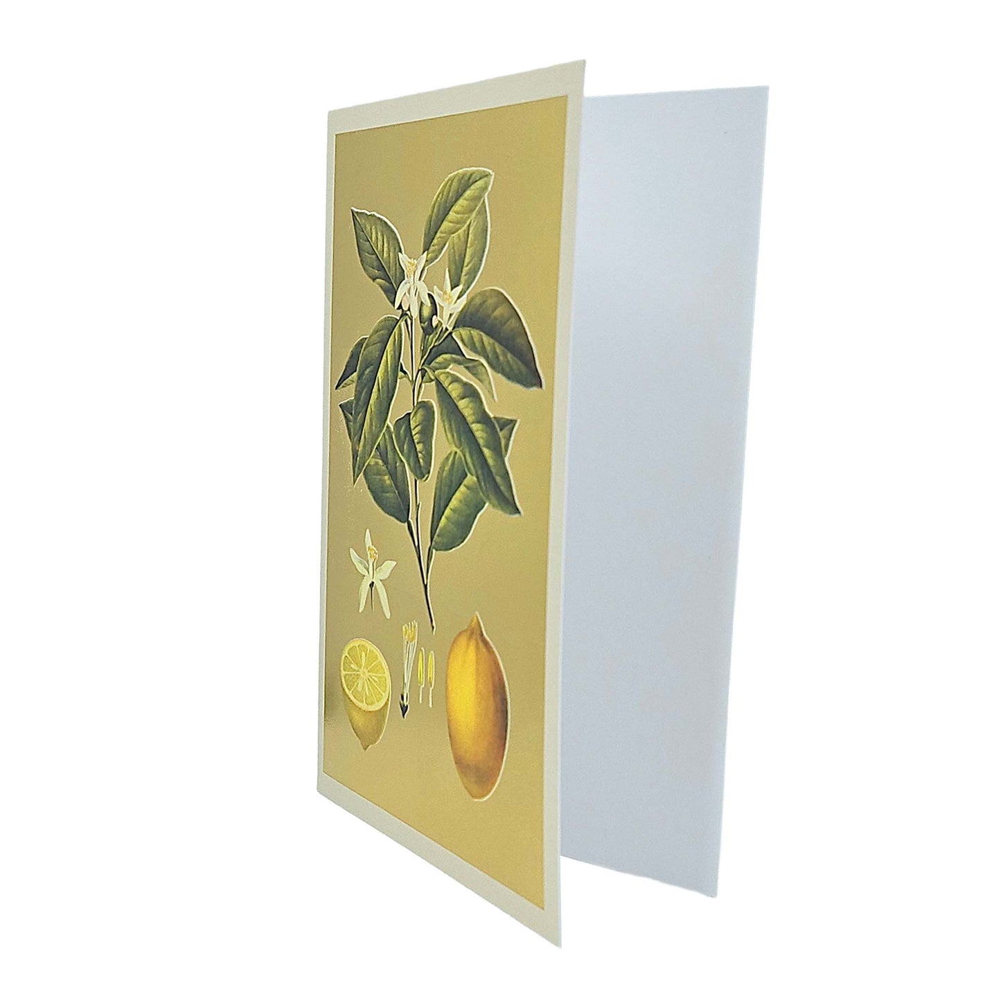 Lemons Gold Foiled Art Card