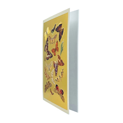 Lepidoptera Moths & Butterflies Gold Foiled Art Card