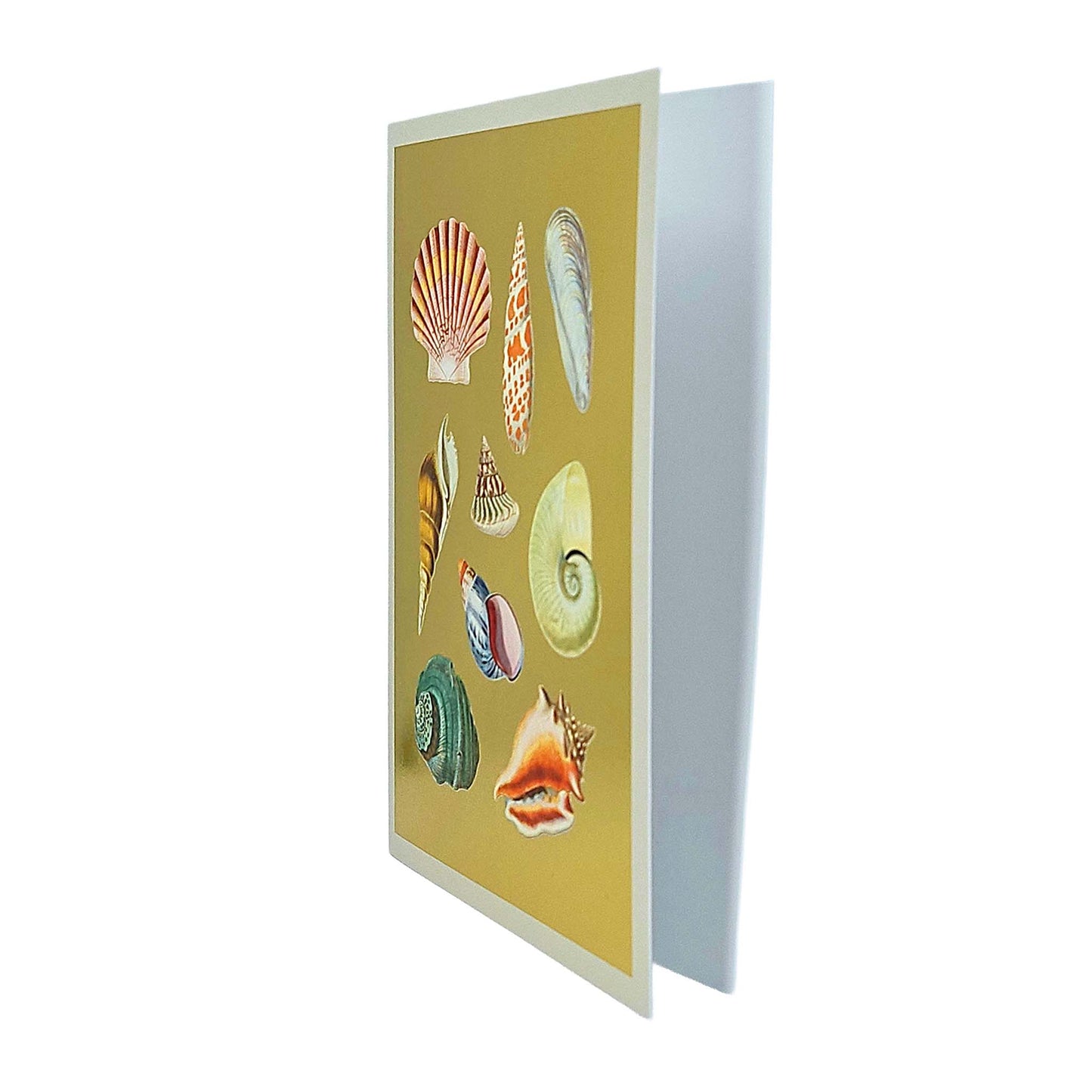 Shell Collection Gold Foiled Art Card