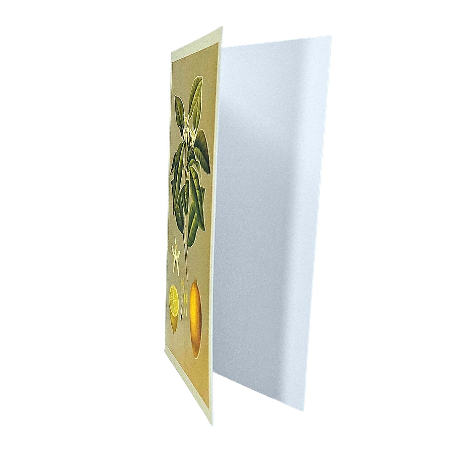Lemons Gold Foiled Art Card