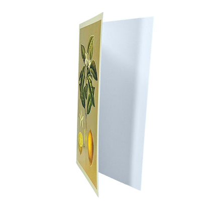 Lemons Gold Foiled Art Card